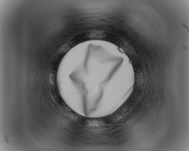 X0000097860755200804041528