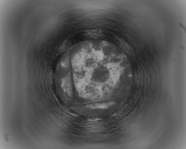 X0000097860757200804041528