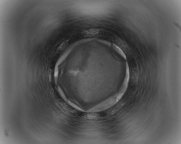 X0000097860758200804041528