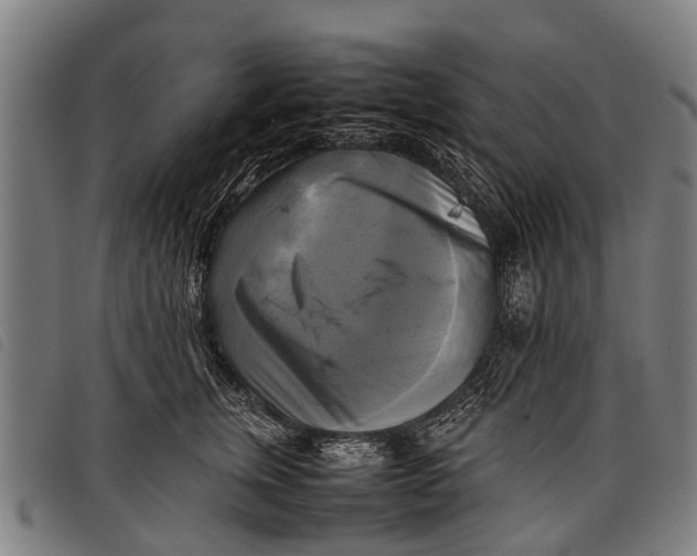 X0000097860759200804041528