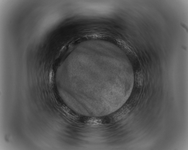 X0000097860760200804041528