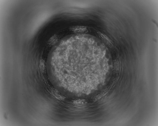 X0000097860761200804041528