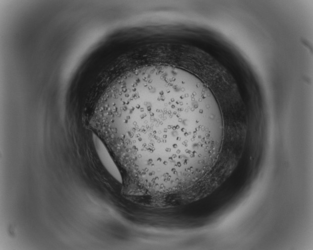 X0000097860766200804041528