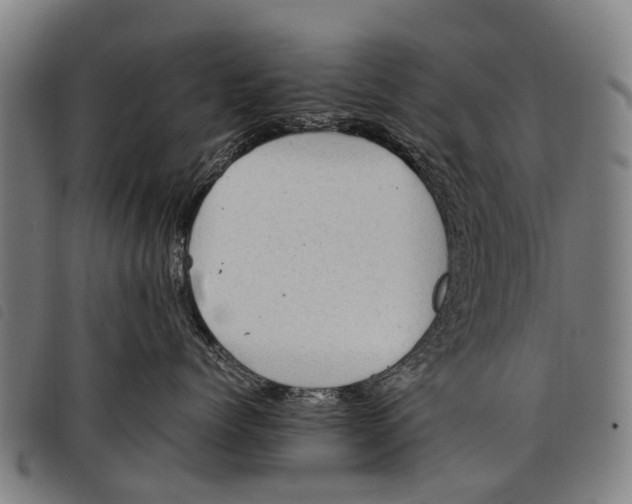 X0000097860768200804041528