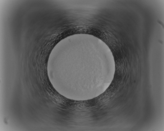 X0000097860769200804041528