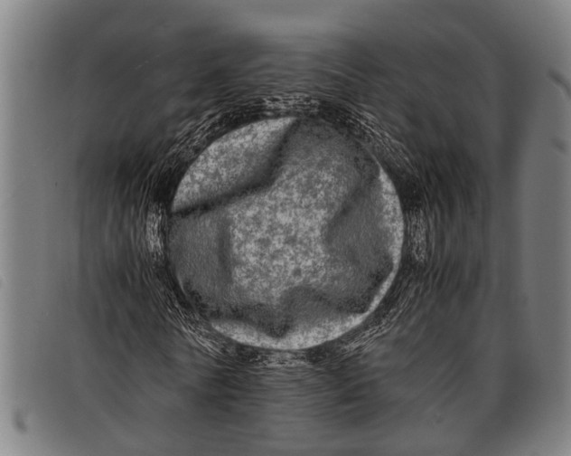 X0000097860770200804041528