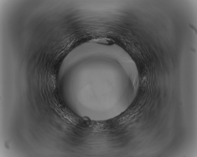 X0000097860772200804041528