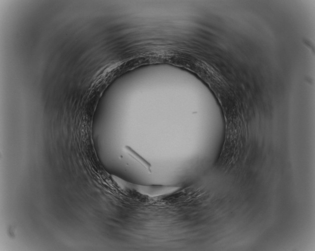 X0000097860773200804041528