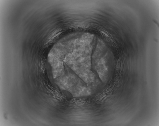 X0000097860774200804041528