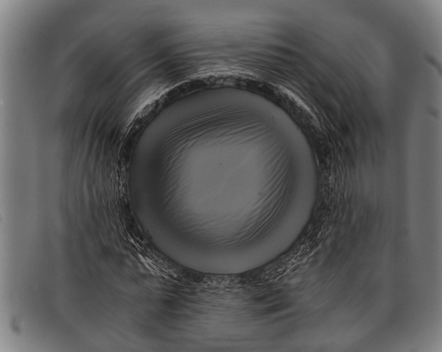 X0000097860775200804041528