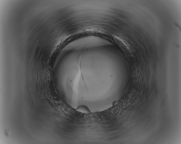 X0000097860776200804041528