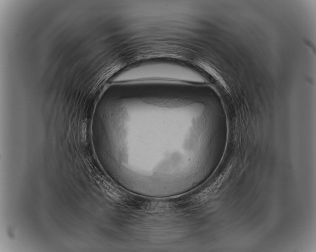 X0000097860777200804041528