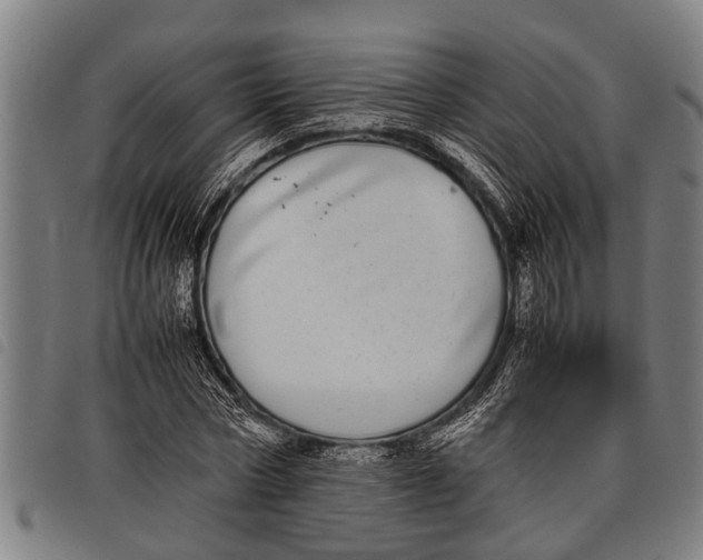 X0000097860778200804041528