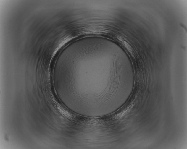 X0000097860779200804041528