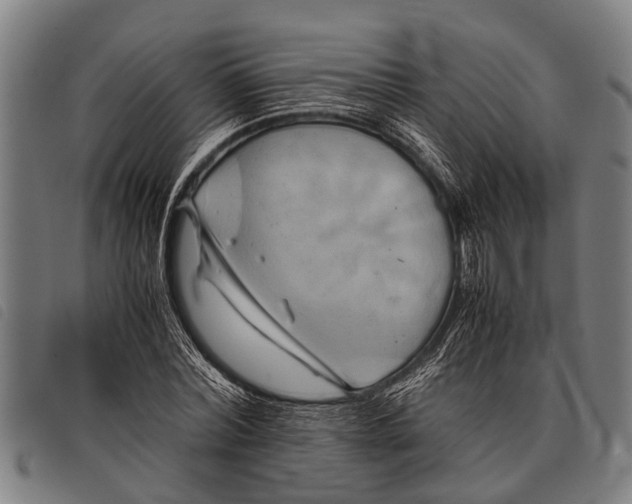 X0000097860780200804041527