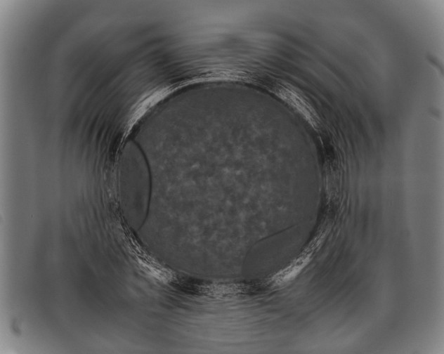 X0000097860781200804041527