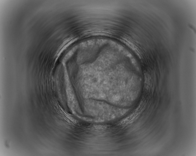 X0000097860782200804041527