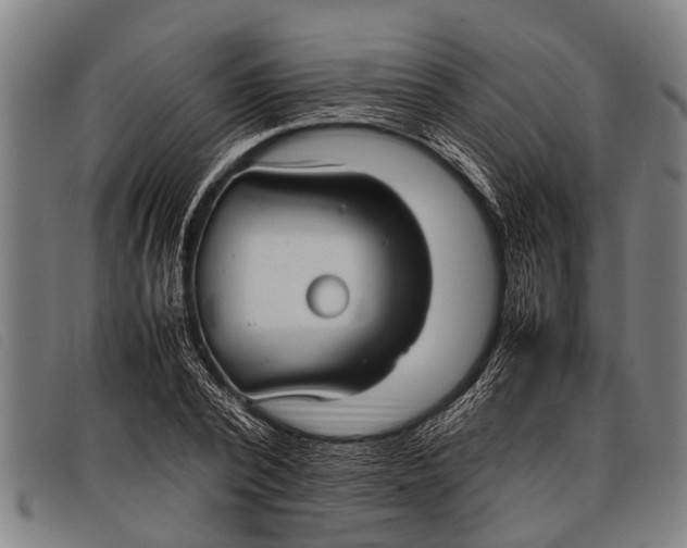 X0000097860784200804041527