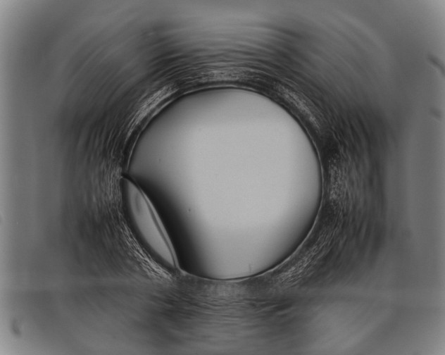 X0000097860786200804041527