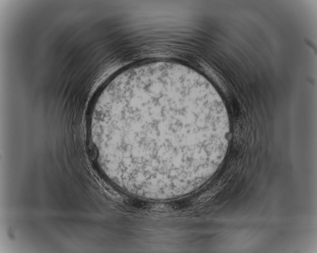 X0000097860787200804041527