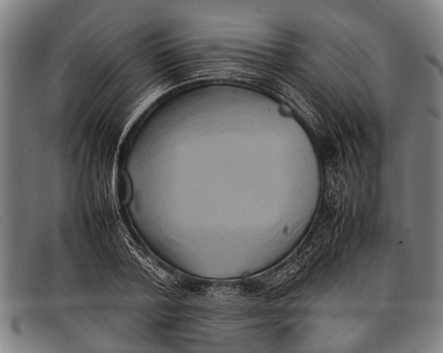 X0000097860788200804041527