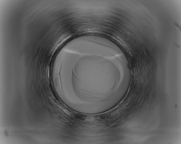 X0000097860790200804041527