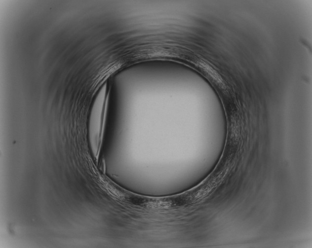 X0000097860793200804041527