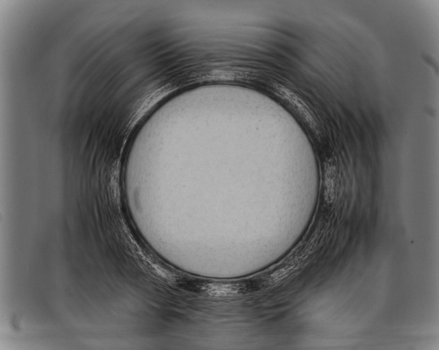 X0000097860794200804041527