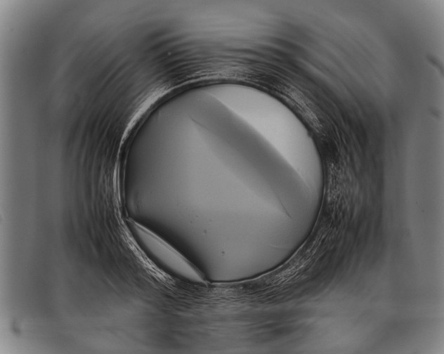 X0000097860796200804041527