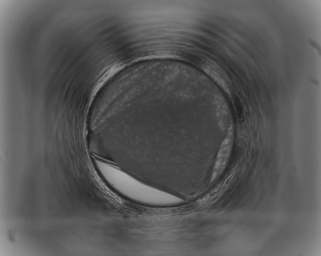 X0000097860797200804041527