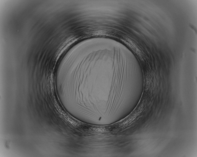 X0000097860798200804041527