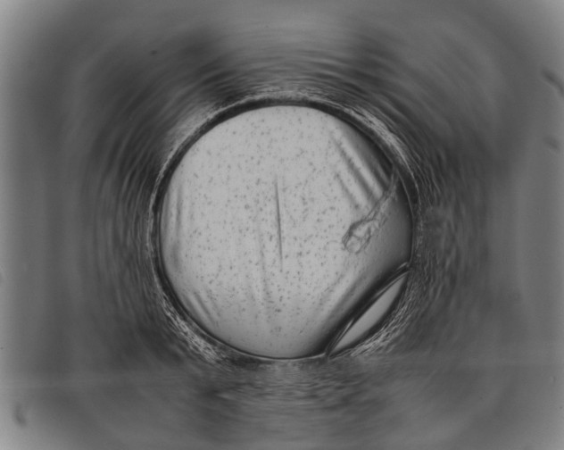 X0000097860799200804041527