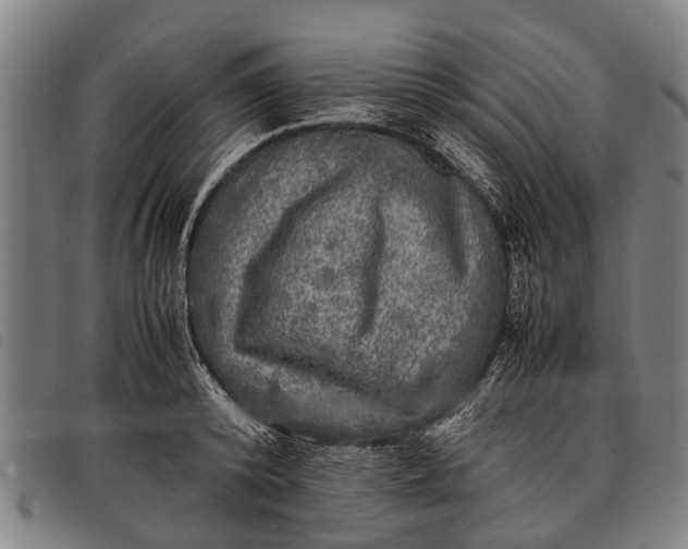 X0000097860800200804041527