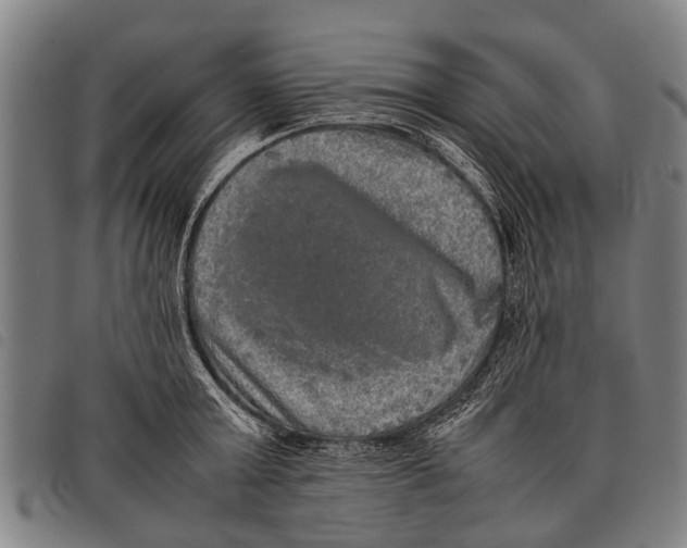 X0000097860803200804041527