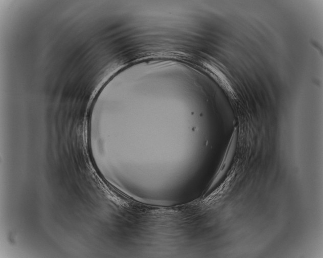 X0000097860804200804041527