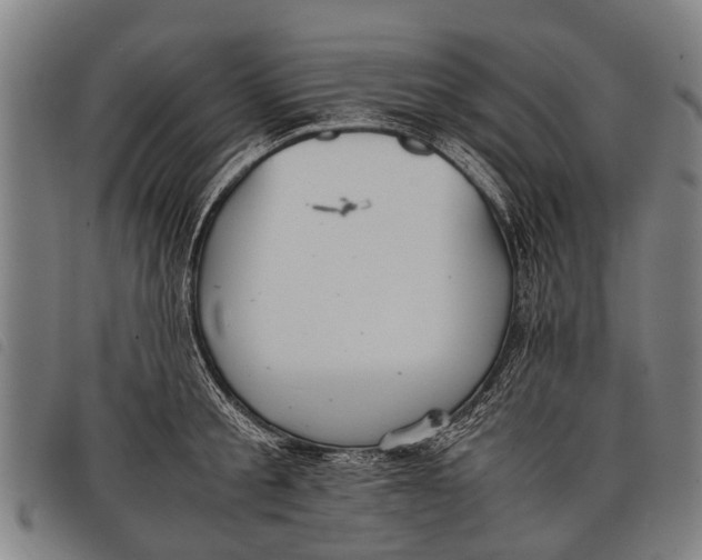 X0000097860805200804041527