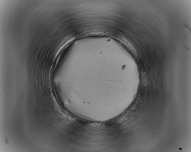 X0000097860806200804041527