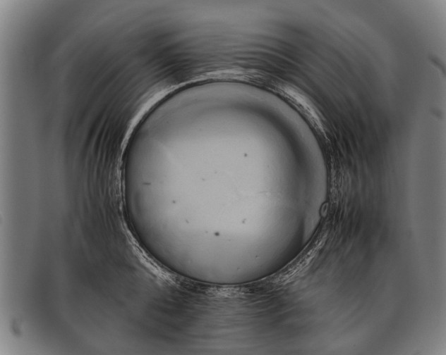 X0000097860808200804041527