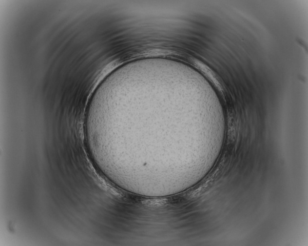 X0000097860810200804041527