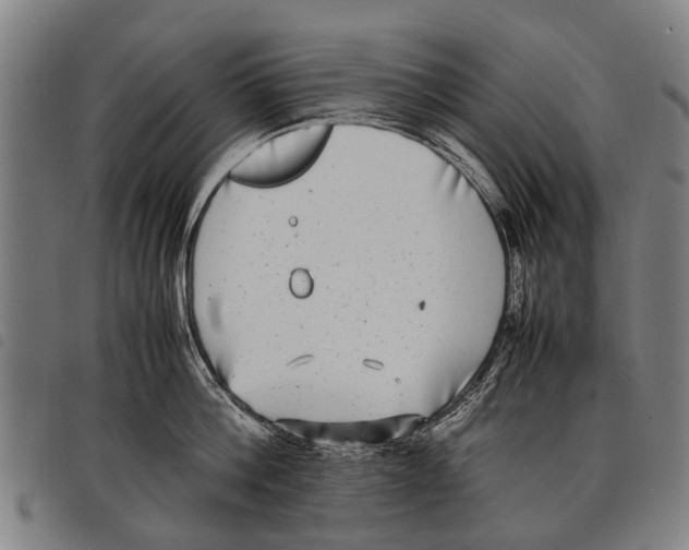 X0000097860812200804041527