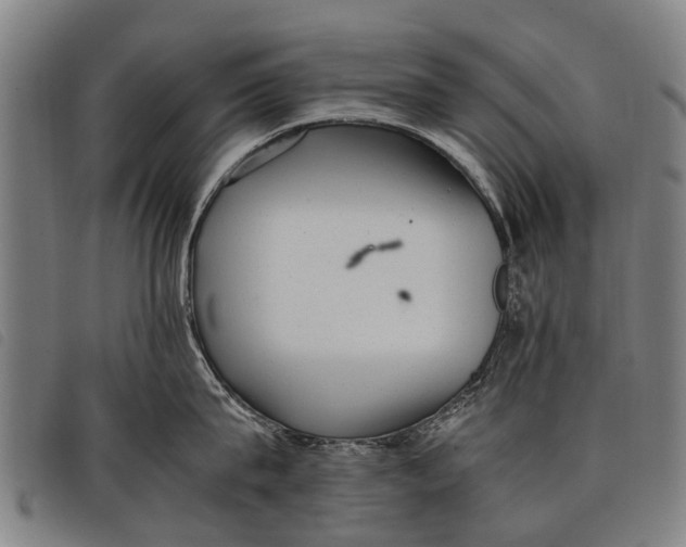 X0000097860815200804041527