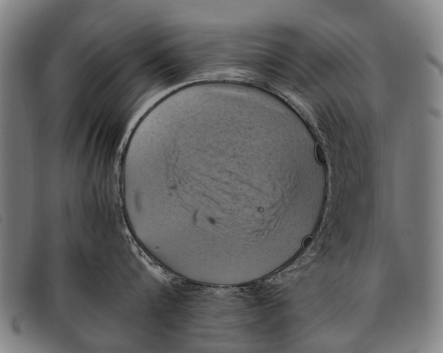 X0000097860816200804041527