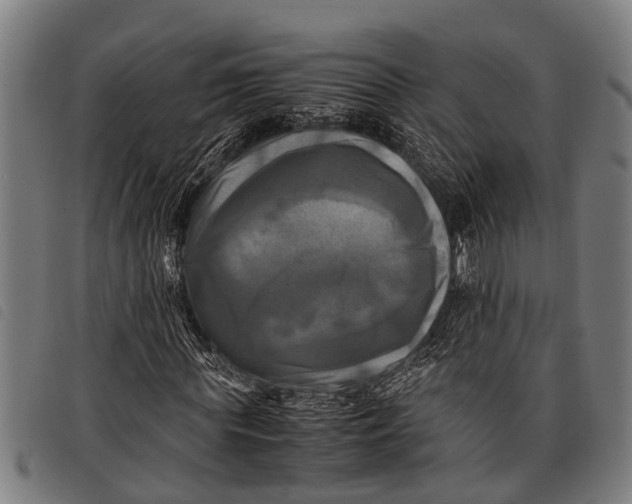 X0000097860819200804041526