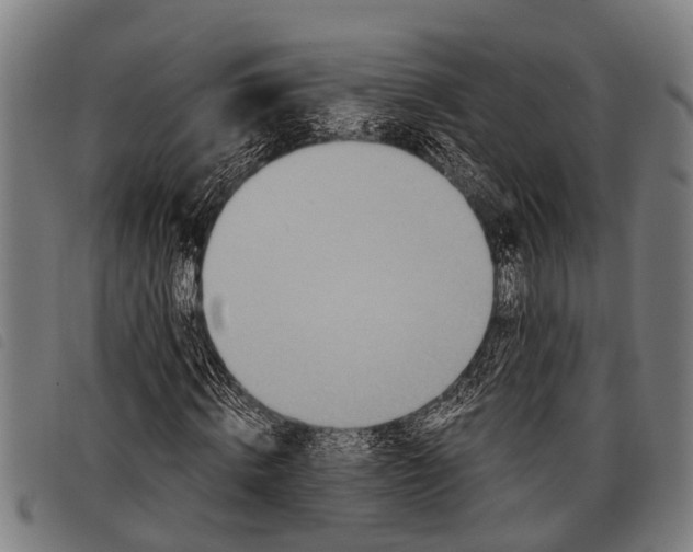 X0000097860820200804041526