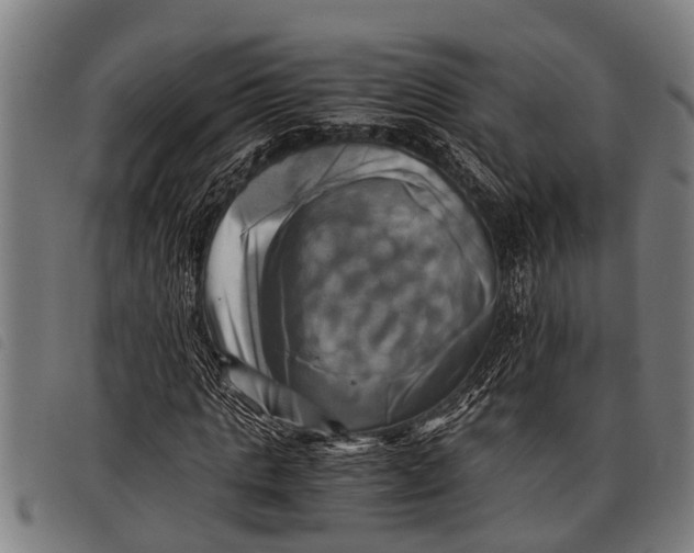 X0000097860821200804041526