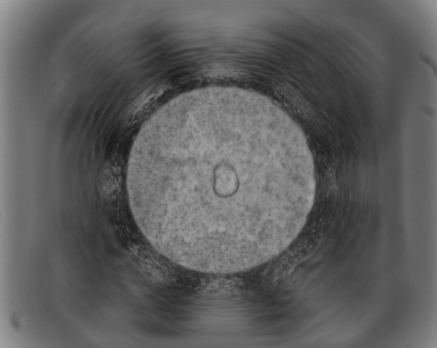 X0000097860824200804041526