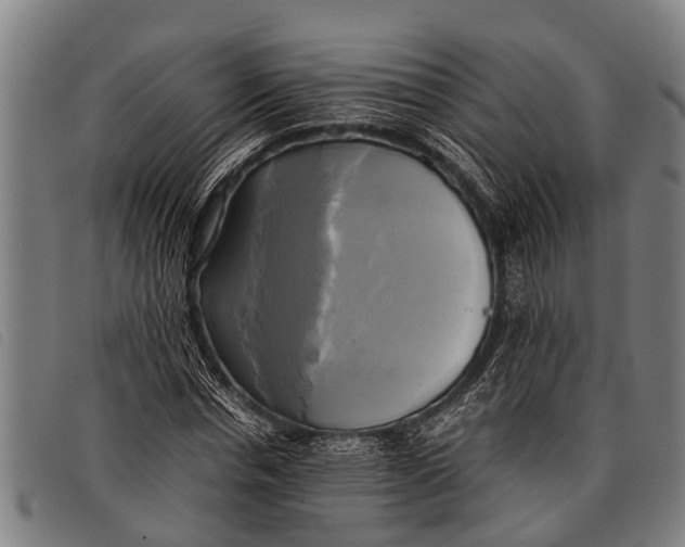 X0000097860826200804041526