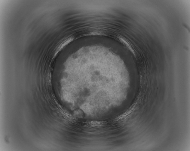 X0000097860827200804041526