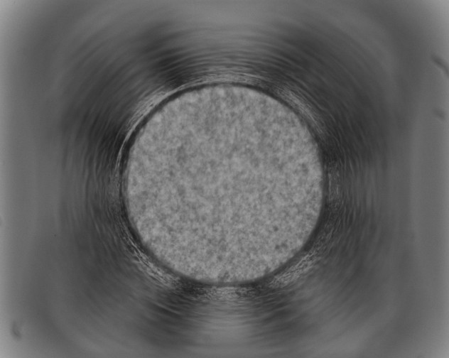 X0000097860828200804041526