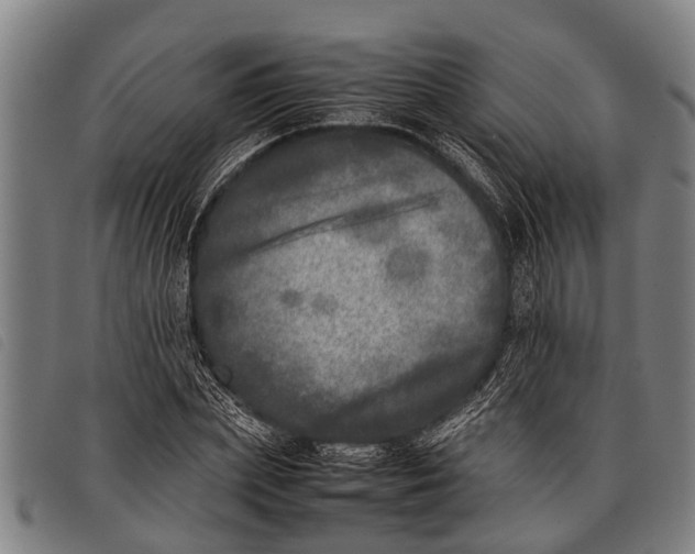 X0000097860831200804041527